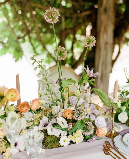 A dreamy sherbet color palette drove the design of this garden micro-wedding in colorado
